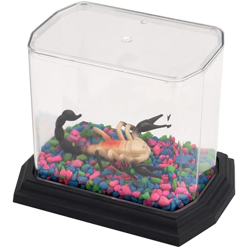 Pioneer Plastics Clear Plastic Desktop Aquarium with Base, 5.75" W x 3.75" D x 5" H, Pack of 2