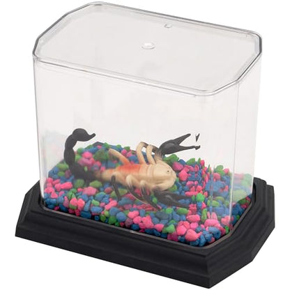 Pioneer Plastics Clear Plastic Desktop Aquarium with Base, 5.75" W x 3.75" D x 5" H, Pack of 2