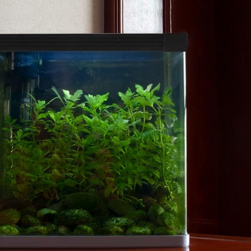 POPETPOP 1set Fish Tank Protector Strip Aquarium Glass Seal Corner Protectors Double Design for Tanks Prevents Fish Escape and Spills