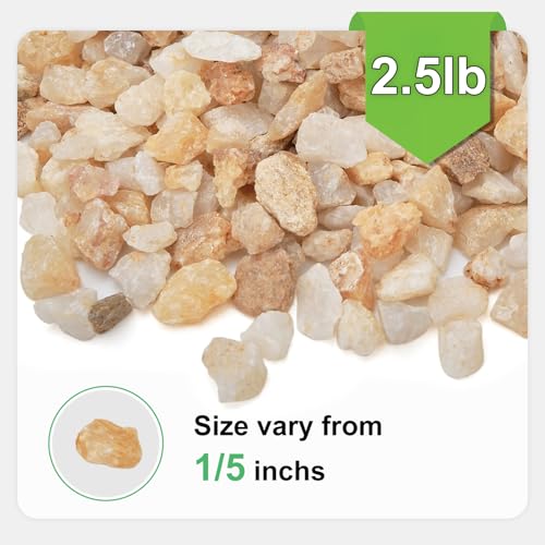 2.5 lbs Coarse Sand for Plants, 1/5 Inch Horticultural Sand for Succulents, Desert Silica Sand for Cactus, Vases, Aquariums, Terrarium, Fish Tank, Drainage Gravel for Potted Plants, Bamboo, Crafts