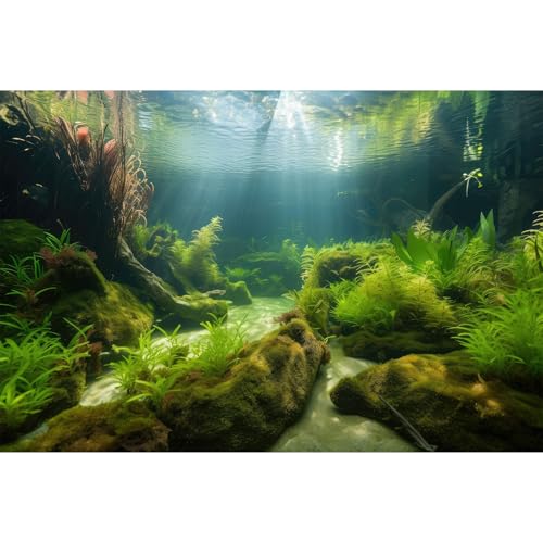 Underwater Aquarium Background Underwater Aquatic Plants with Sunbeams Fish Tank Background Rock with Lush Moss Terrarium Background Aquarium Backdrop For Tank Decorations Poster Vinyl 24x12in - color: Moss Green, size: 24(W)x12(H)in