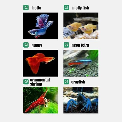 Breeder Box for Fish Tank – 10x10x10cm Acrylic, Clear Nursery Hatchery, Breeding Container | Perfect Aquarium Fry Raising, Betta Isolation Space, Guppy Support, Angelfish Egg Care, Shrimp Habitat