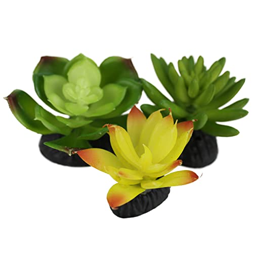 Komodo Reptile Terrarium Succulent 3PK Yellow/Green Plants | Natural Looking Artificial Aquarium Ornament & Habitat Decoration Accessory with Weighted Base