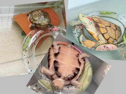 5 Pack 4.3 Inch Inflatable Turtle Swimming Ring Turtle Floating Platform Toy Small Animal Floaties Swimming Ring Basking Rest Dock for Turtle Tortoise (Fruit)