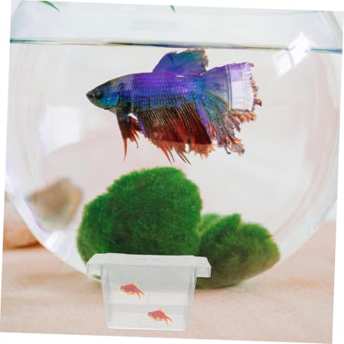 Mikikit 4pcs Floating Fish Fry Incubator Breeding Box for Aquarium Nursery Dual Layer Isolation Case for Betta Fish Eggs Compact Design for Efficient Hatching