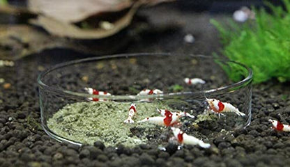 Aquarium Glass Feeding Tube 25cm Aquarium Fish Shrimp Tank Crystal Red Cherry (Glass Feeding Tube Only) - size: Glass Feeding Tube Only