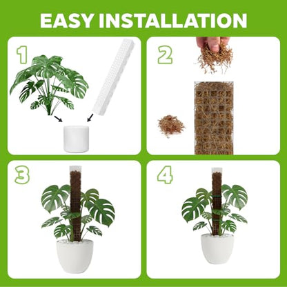 6 Pcs 24 Inch Plastic Moss Pole for Plants Monstera, Transparent White Large D Shaped Plant Support for Climbing Indoor Plants Ideal for Sphagnum Moss