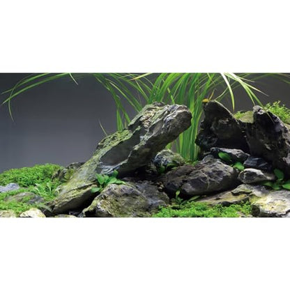 AWERT 48x18 inches Stone Aquarium Background Stone Aquatic Plant River Bed & Lake Seaweed Aquarium Vinyl Background Fish Tank Background - size: 48x18in/120x45cm