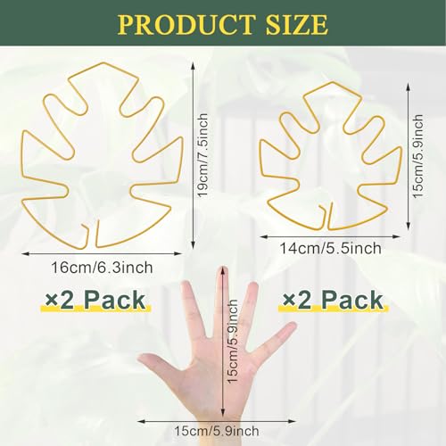 4 Pack Plant Stem Support, Adjustable Metal Monstera Plant Support Small 2PCS & Large 2PCS, Plant Supports for Indoor Plants Moss Pole Growth Plant Support Ring (Gold) - size: 5.5*5.9/2, 6.3*7.5/2