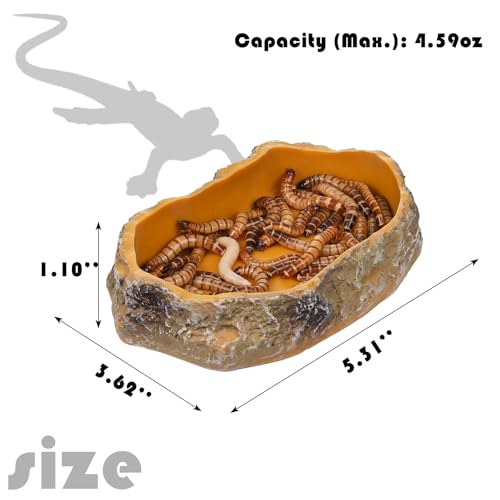 IBWell 5 Inch Reptile Food Dish Escape Proof Reptile Feeding Dish Resin Reptile Water Food Bowl for Bearded Dragon Chameleon Frog Snake Turtle Leopard Gecko