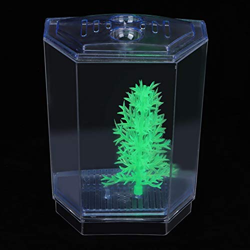 GLOGLOW Mini Aquarium Fish Tank, Acrylic Breeding Box for Betta and Guppies, Isolator for Small Fish with Air Circulation and Easy Waste Drainage (Single Grid)