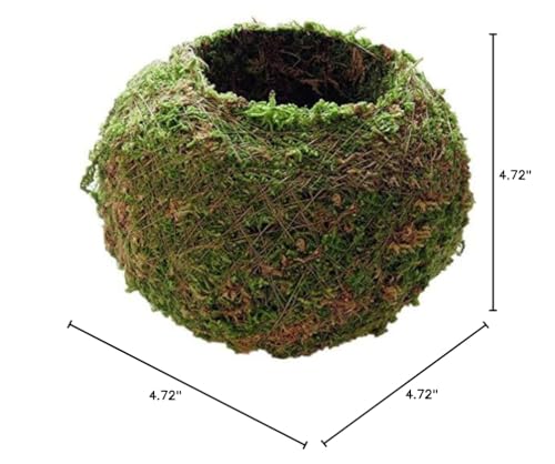 Moss Ball Flower Pot Natural Planter Bonsai Plant Holder Bird Nest for DIY Gardening Home Table Decoration - 12cm