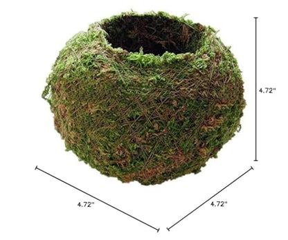 Moss Ball Flower Pot Natural Planter Bonsai Plant Holder Bird Nest for DIY Gardening Home Table Decoration - 12cm