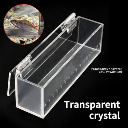 Practical Fishtanks Breeder Box for Fish Eggs Hatching and Isolating Small Fish Clear Acrylic Observation Breeding Tanks Professional Research Tool