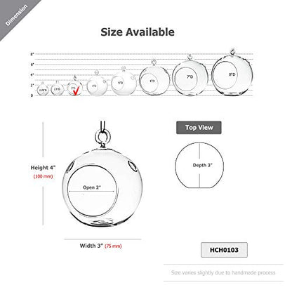 WGV Hanging Terrarium Globe, Width 3", Height 4", DIY Air Succulent Planter, Clear Glass Vase Orb with Flat Bottom, Candle Holder for Windowsill Outdoor Garden Decor, 6 Pieces Bulk - size: 3" Flat Bottom