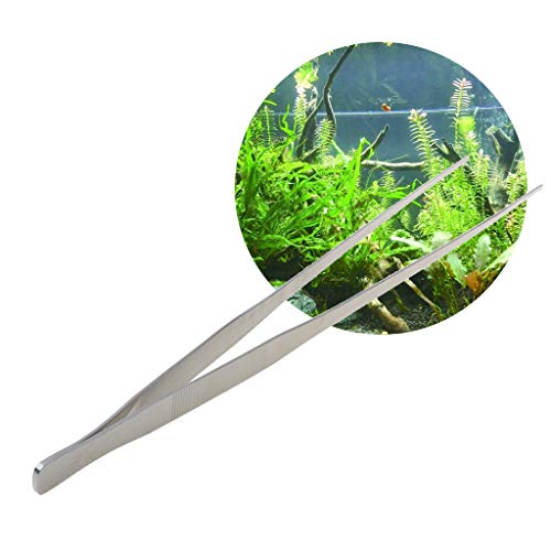 19in Aquarium Tweezers Stainless Steel Straight Tweezer for Against Rust Reptiles Feeding Tongs