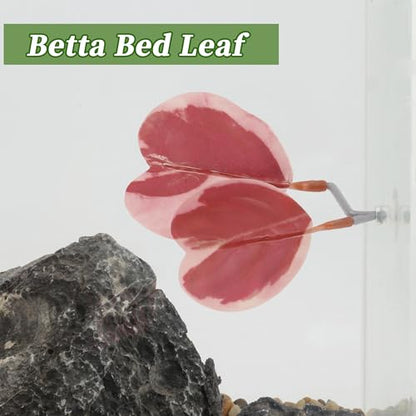 Betta Fish Bed, Betta Leaf Bed, Plastic Betta Hammock, Betta Hammock Pad with Suction Cup, Betta Heart-Shaped Leaf Bed Aquarium Decor, Pink 2 Pcs