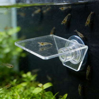 Aquarium Floating Shelf: Fish Tank Acrylic Ledge Plants Holder with Suction Cup - 4x3.2x2in Transparent Ledge for Aquarium Coral Aquatic Plants Moss - size: 10.00X8.00X5.00CM