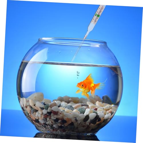 Cabilock 1set Aquarium Hydrometer Measuring Cylinder for Accurate Specific Testing Fish Tanks and Aquaculture