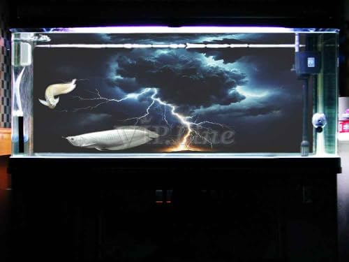 VIP. LINE Lightning Cloud Aquarium Background Poster PVC Self Adhesive Vivid Underwater Scene Decoration Landscape of Fish Tanks, Reptile Habitat Tanks (60" x 20"/ 152 x 51cm) - size: 60" x 20"/ 152 x 51cm