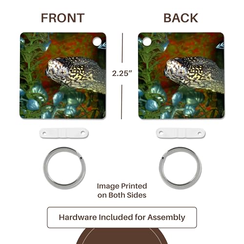 3dRose, Razorbacked Musk turtle head color in aquarium, set of 2 Key Chains