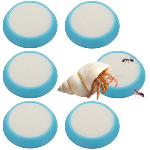 6 Pcs Cricket Water Bowl Plastic Feeding Dish with 6 Pcs Sponge for Hermit Crab Cricket Scorpion Ant Isopod Invertebrate (Blue)