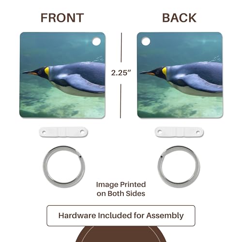 3dRose, South Africa, Cape Town, Aquarium King penguin -AF42 CMI0073 - Cindy Miller Hopkins, Key Chain
