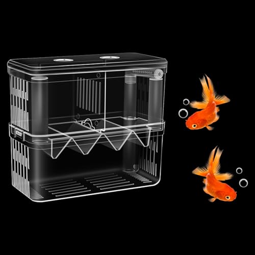 Double Room Breeding Box for Fish Tank, Fish Tank Aquarium Betta Guppy, PC Transparent Large Aquarium Kit More Convenient for You to Watch Ornamental Fish and Shrimps(Large) - color: large