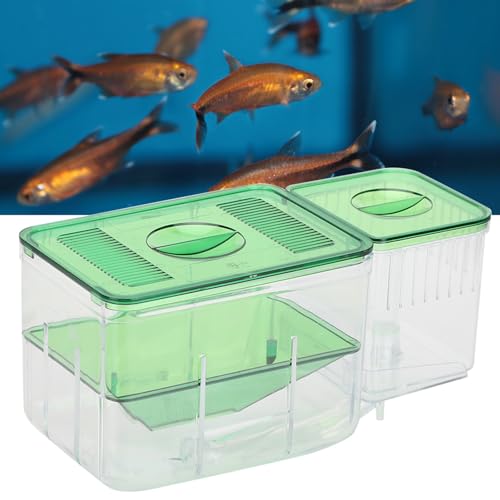 FILFEEL Aquarium Breeding Box for Isolation of Newborn Fish and Shrimp - DoubleLayer Incubator for Small Life