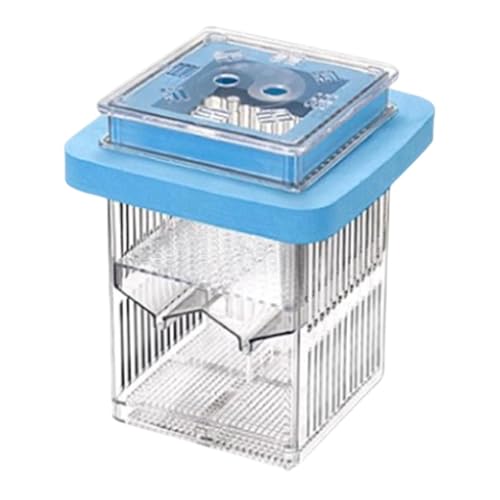 Baoblaze Fish Hatching Box Isolation Case Large Capacity Detachable Aquarium Supplies Fishtank Breeder Aquarium Hatchery for Home Use, Blue