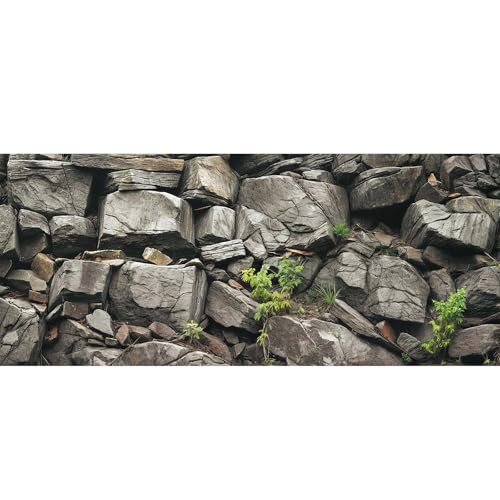 30X18IN Stone Aquarium Background, Rock Fish Tank Background, Natural Rocky Glass Terrarium Background with 8 EVA Double-Sided Tape - color: Stone, size: 30X18in/75X45cm