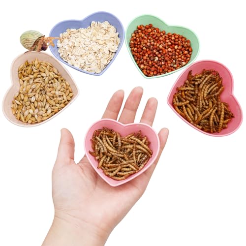 4 Pack Hermit Crab Plastic Food Dish, Hermit Crab Food & Water Bowl, Mini Food Dish Kit, Suitable for Hermit Crab Tarantula Snail