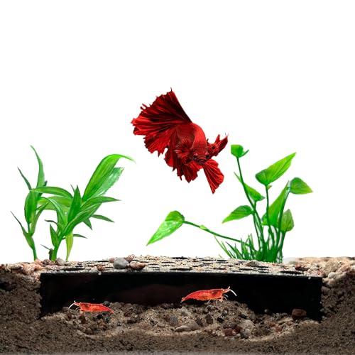 Shrimp Breeding Protector | Shrimp Breeding Cave Aquarium Tunnel (Black) - color: Black