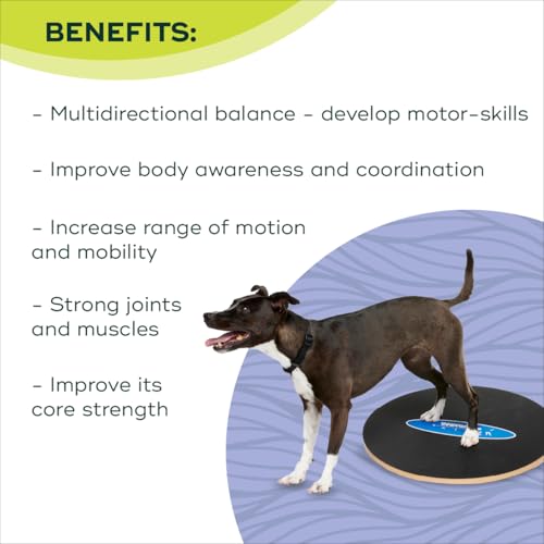 FitPaws® Wobble Board, Dog Balance Core Fitness Rehab Tool, Dog Fitness - size: 20"