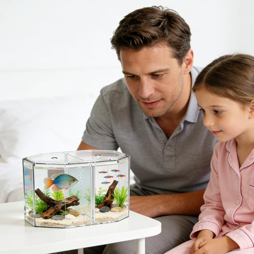 Toyvian Fish Separation Box with Removable Divider Dual Compartment Isolation Hatchery for Betta Safe Breeding Tank for Tropical Fish and Fry Aquarium Incubator 7.87X4.72X4.33In