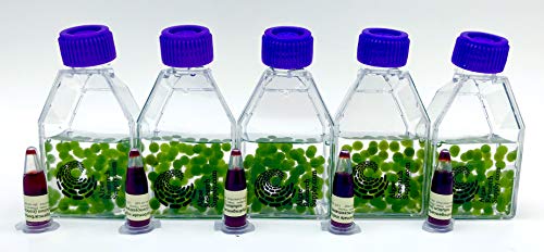 Algae Research and Supply: Algae Beads (Algae Beads Research Kit: 2,000 Beads, Indicator (50mL), pipettes)