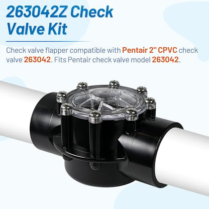 Check Valve Replacement Kit 263042Z Fits for Pentair 2" CPVC Check Valve 263042, Upgraded Pool Pumps 2 Port Straight Valves Part