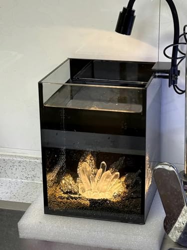 Small Fish Tank Decor Artificial Crystals Aquarium Betta Fish Tank Decorations Mini Crystal Ornaments Resin Accessories