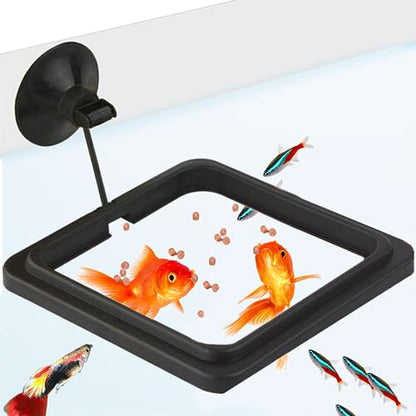 SunGrow Fish Food Feeding Ring, Stop Water Turbulence from Washing Food & Floating Plants into Filtration System, Suitable for Flakes & Floating Fish Pellets (3 Pieces)