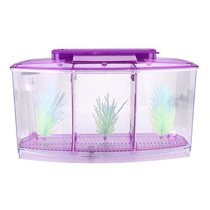 Mini Fish Box, Plastic Aquarium Isolation Box Acrylic Breeding Hatchery Small Fishes Incubator Mini Fish with Three Divisions and LED Light(Purple)