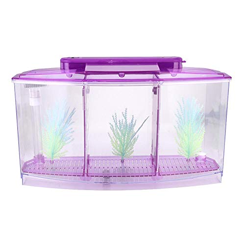 Acrylic Aquarium Isolation Box,Mini Fish Tank Breeding Hatchery Small Fishes Incubator with Three Divisions and LED Light(Purple)