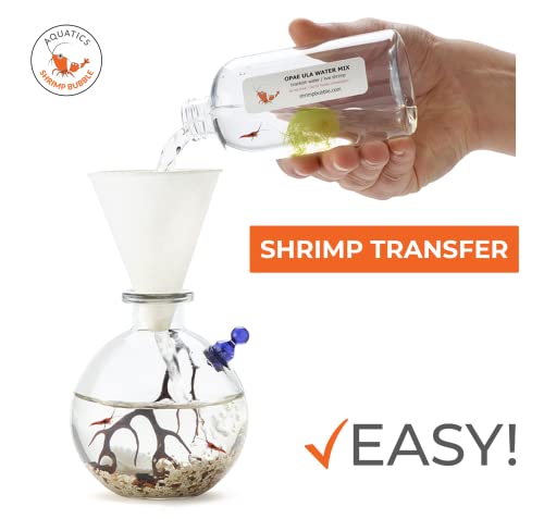 Self-Sustaining Ecosystem - Natural. Contains Live Opae Ula Shrimp
