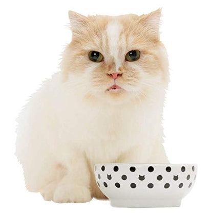 Necoichi Cat Food Bowl & Water Bowl - Shallow Wide Cute Cats Dish - Prevents Neck & Whisker Fatigue - Dishwasher & Microwave Safe - No Spill Ceramic Cat Bowl for Indoor Cats & Kittens (Dots Style) - color: Dots