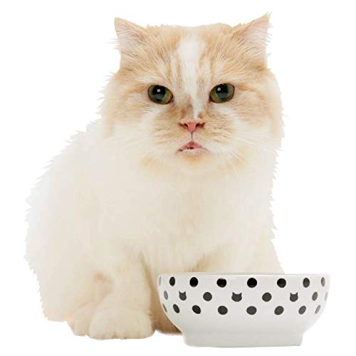 Necoichi Cat Food Bowl & Water Bowl - Shallow Wide Cute Cats Dish - Prevents Neck & Whisker Fatigue - Dishwasher & Microwave Safe - No Spill Ceramic Cat Bowl for Indoor Cats & Kittens (Dots Style) - color: Dots