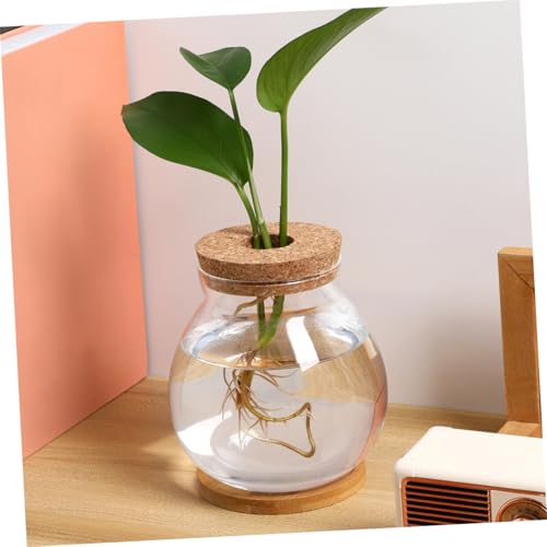 Hydroponic Glass Fish Bowl with Lid Small Desktop Aquarium 10x11cm Mini Glass Fish Tank with Mat for Office and Home Decor