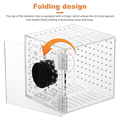 balacoo 1pc Fish Breeding Isolation Box Aquarium Hatching Container for Smooth Attachment for Fish Fry