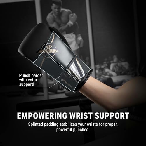 Hayabusa Sport Boxing Gloves - Dual-Splinted - color: Black / Gold, size: 14oz