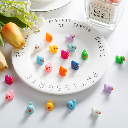 220 Pieces Mini Resin Duck Miniature Figures Micro Fairy Garden Landscape Aquarium Hide and Seek Prank Dollhouse Ornament Potted Plants Cake Decoration DIY Slime Craft Charms for Party Toys