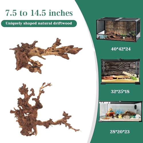 Natural Large Driftwood for Aquarium Fish Tank Decorations, Driftwood for Reptile Tank Bearded Dragon Tank Accessories Terrarium Decor (7.5 to 14.5 inches / 2 Pack)