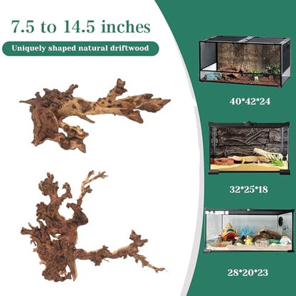 Natural Large Driftwood for Aquarium Fish Tank Decorations, Driftwood for Reptile Tank Bearded Dragon Tank Accessories Terrarium Decor (7.5 to 14.5 inches / 2 Pack)